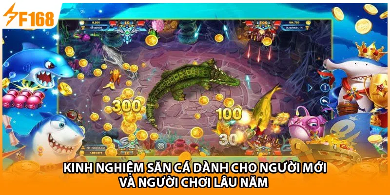 Kinh nghiệm săn cá dành cho người mới và người chơi lâu năm