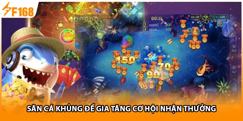 Săn cá khủng để gia tăng cơ hội nhận thưởng