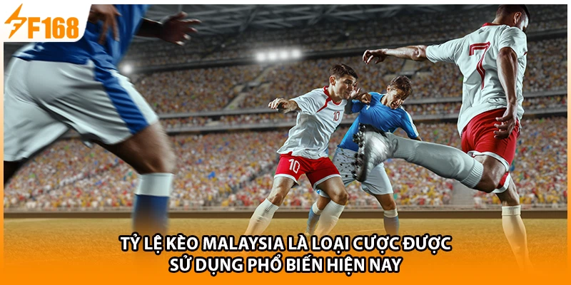 Tỷ lệ kèo Malaysia là loại cược được sử dụng phổ biến hiện nay
